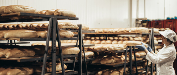 Restaurants and QSR chains